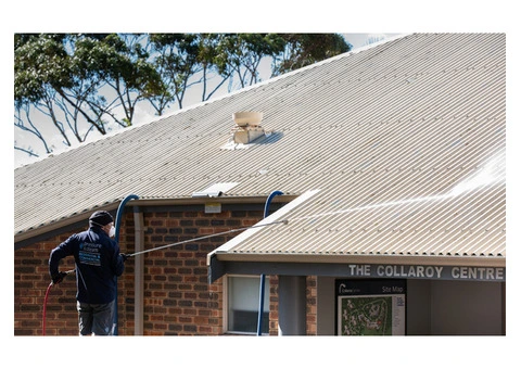 Professional Roof Cleaning Services in Sydney