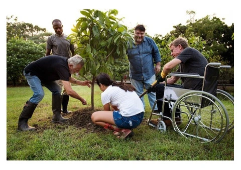 Empowering NDIS Community Participation in Marsden Park