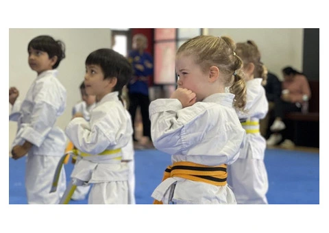Checkout the Children Martial Arts Classes of AMAF Australia