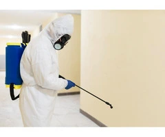 Pest Control Gold Coast – Reliable Services for Homes & Businesses