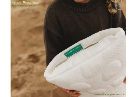 Premium Organic Wool Toddler Pillow – Ages 3+