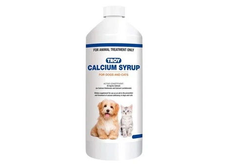 Troy Calcium Syrup