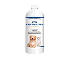 Troy Calcium Syrup