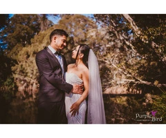 Pre wedding shoot in fairy meadow | Purple Bird Photo - Australia
