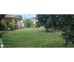 Lawn Mowing Brisbane