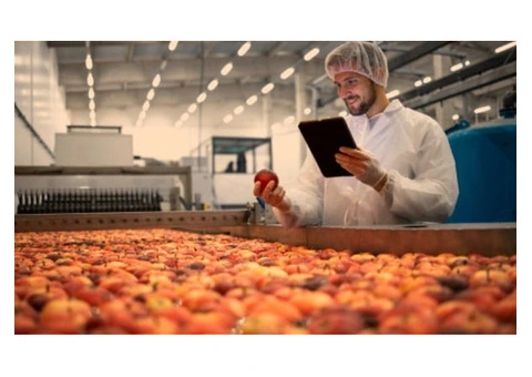 Partner with a Reliable Food Manufacturing Recruitment Agency