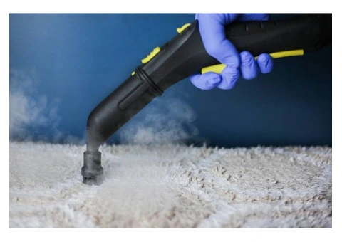 Trusted Steam Cleaning for Homes and Offices - 1/4