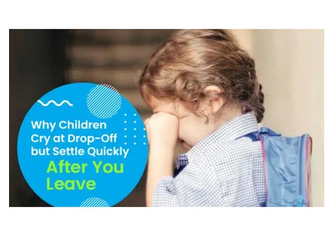 Understanding Separation Anxiety at a Trusted Daycare Centre in Dayton