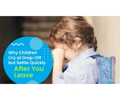 Understanding Separation Anxiety at a Trusted Daycare Centre in Dayton