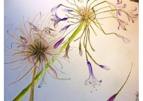 Hypnotherapy, Counselling & Coaching with Suzy Woodhouse in Brisbane