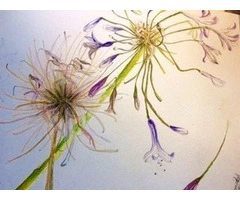 Hypnotherapy, Counselling & Coaching with Suzy Woodhouse in Brisbane