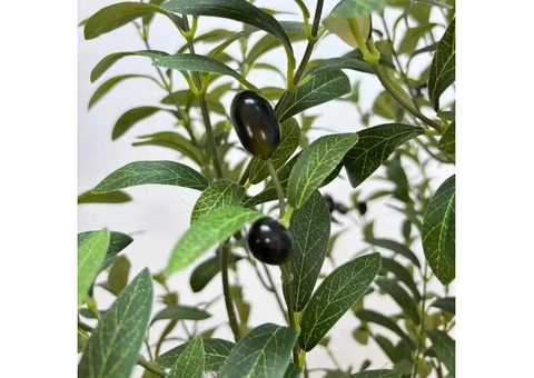 Artificial Olive Tree That Works in Almost Any Room
