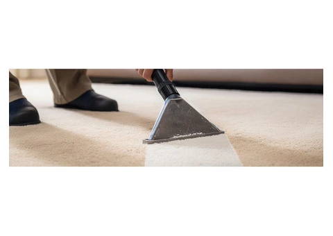 Improve the lifespan of rugs with sustainable and holistic Rug Cleaning Adelaide
