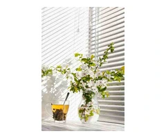 Upgrade Your Home with Honeycomb Blinds Adelaide