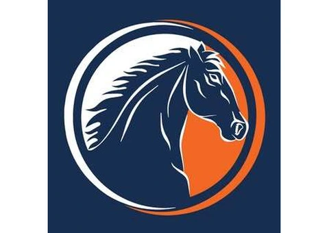 Bloodstock Auction