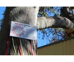 Sunny Kids Lakemba Welcomes Roselands Preschool Families