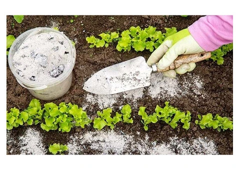 Best Organic Liquid Fertiliser Australia for Healthier Soil and Plants