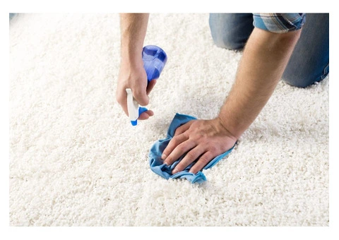 Bring Your Carpets Back to Life in Hurstville