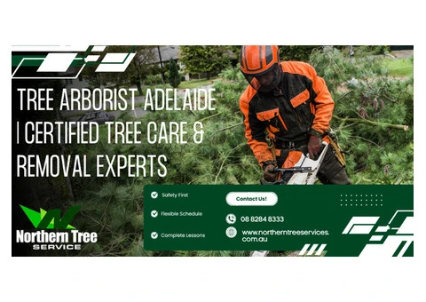 Tree Arborist Adelaide | Certified Tree Care & Removal Experts