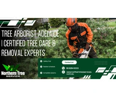 Tree Arborist Adelaide | Certified Tree Care & Removal Experts