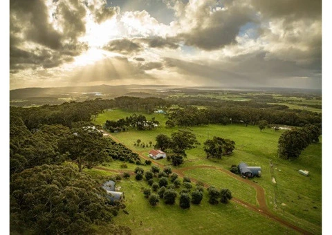 Want Stunning Aerial Views? Book Professional Drone Photography Now