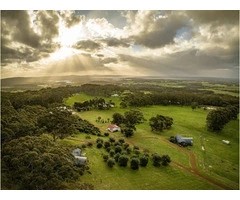 Want Stunning Aerial Views? Book Professional Drone Photography Now