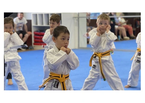 Learn Why Kids Karate Classes Are a Great Choice for Children
