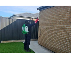 Why is Professional Pest Control in Melbourne Essential for Every Home?