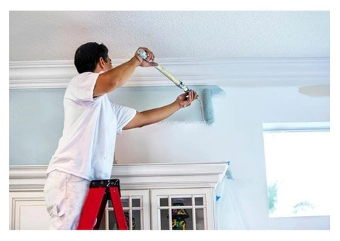 Reliable Exterior Painting for Homes – Schedule Smart Today! - 5/5