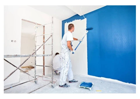 Transform Your Home with Professional Painters