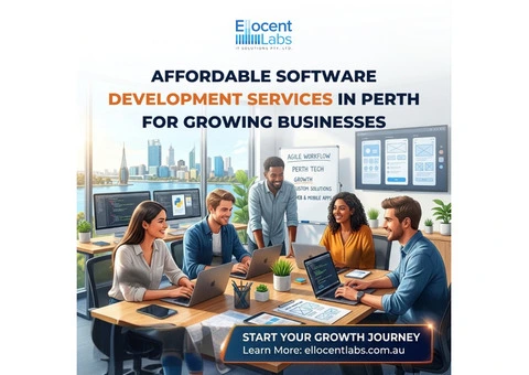 Affordable Software Development Services in Perth for Growing Businesses