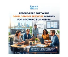 Affordable Software Development Services in Perth for Growing Businesses