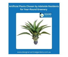 Artificial Plants Chosen by Adelaide Residents for Year-Round Greenery