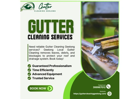 Gutter Cleaning Hamlyn Heights | Local Gutter Experts