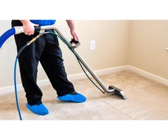 Best Carpet Cleaning in Punchbowl, NSW – T&M Cleaning Services PTY LTD