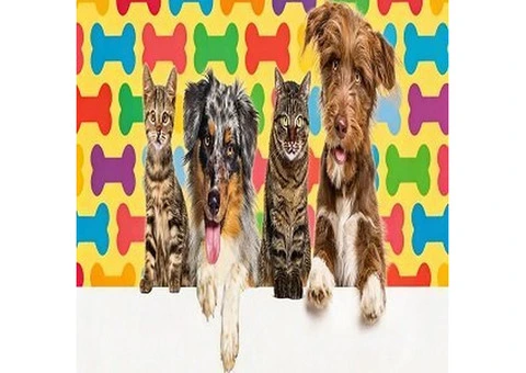 Pet Circle