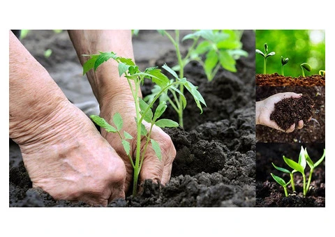 Enhance Soil Quality Naturally with Humate Fertiliser