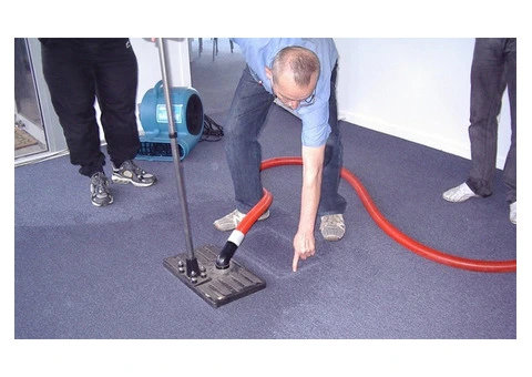 Why Is a Water Damage Specialist Important for Home Protection?
