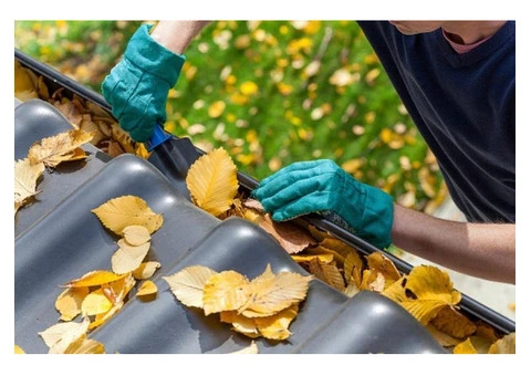 Protect Your Home With Professional Gutter Cleaning - 2/2