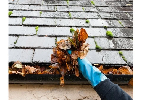 Cleaning Service Near Me in South Melbourne - 6/8