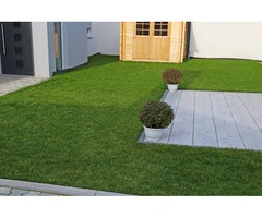 Sir Walter Buffalo Adelaide