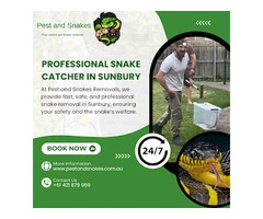 Snake Catcher Sunbury