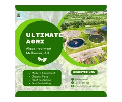 Algae treatment Australia