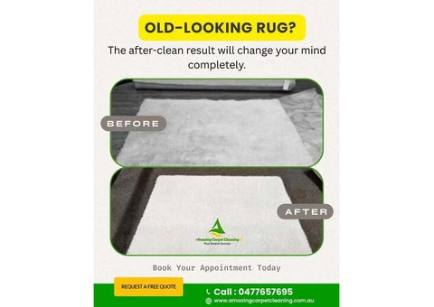 Best Carpet Cleaning Services in North Brisbane – Book Today