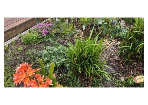 Landscape Horticulture Solutions for Modern Outdoor Spaces