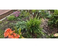 Landscape Horticulture Solutions for Modern Outdoor Spaces