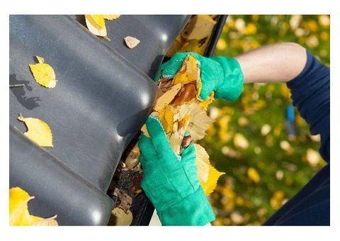 Professional Gutter Cleaning Services for Homes and Businesses