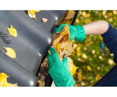 Professional Gutter Cleaning Services for Homes and Businesses
