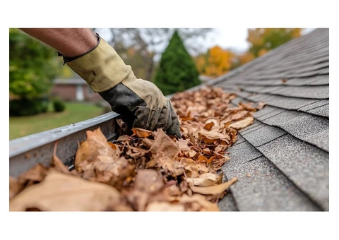Protect Your Home with Professional Gutter Cleaning