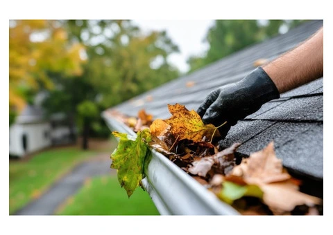 Professional Gutter Cleaning Services in North Wollongong